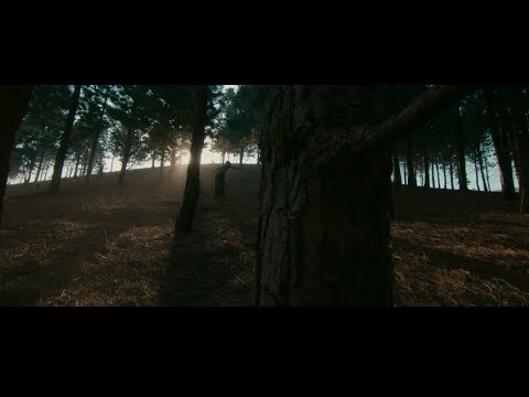 Fireboy-Champion-Video