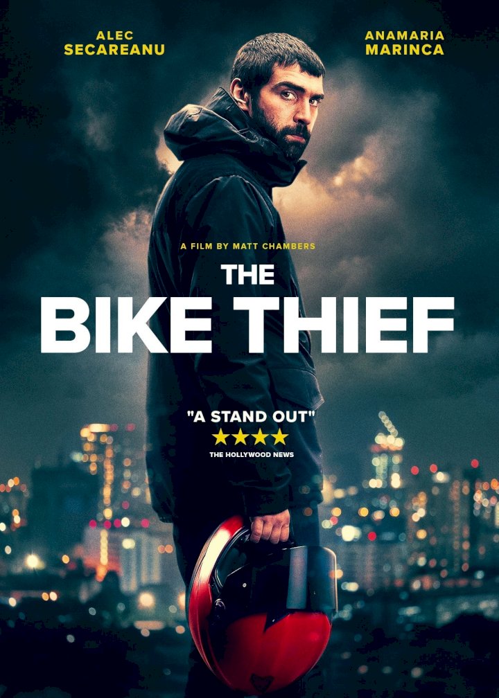 The-Bike-Thief