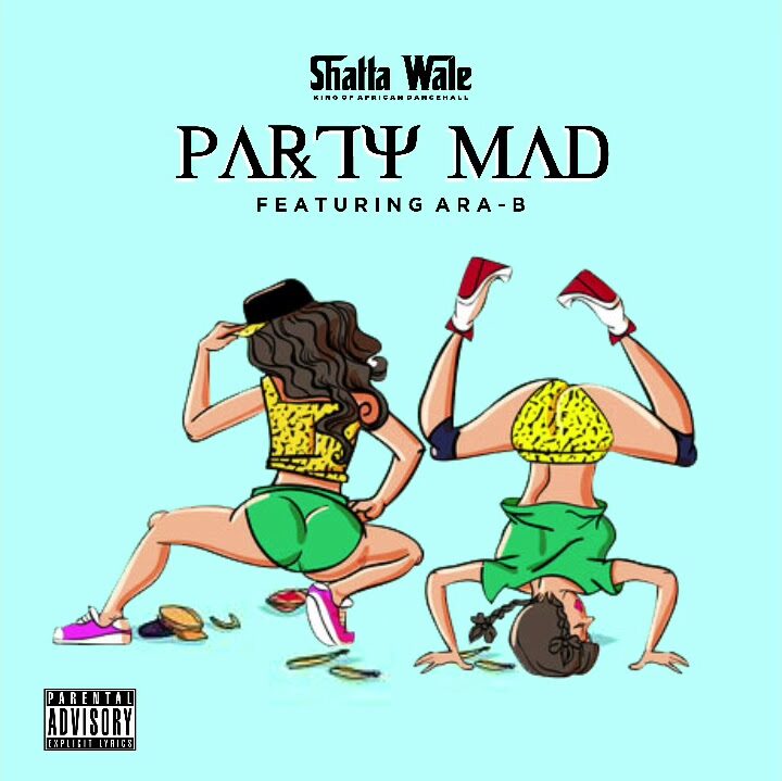 Shatta Wale Party Mad edited