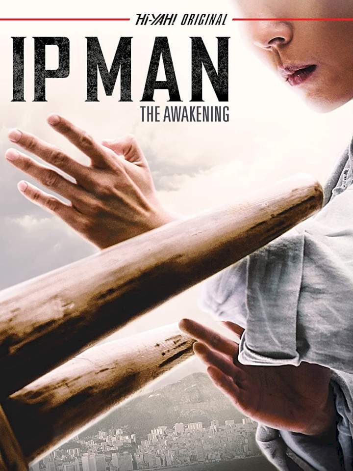 IP Man The Awakening