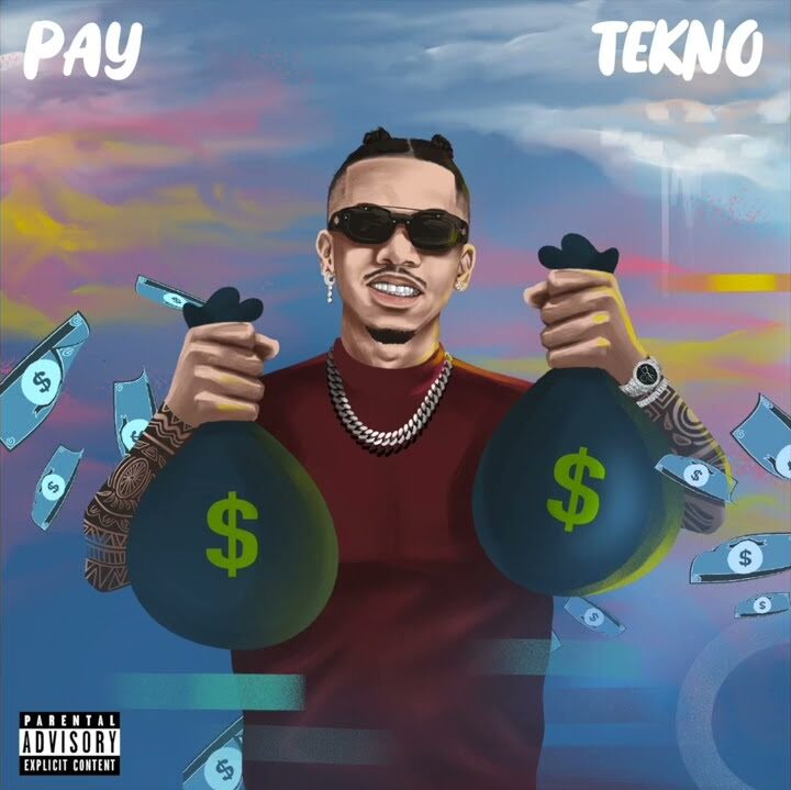 Tekno Pay edited