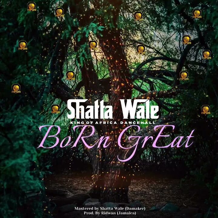 Shatta Wale Born Great edited