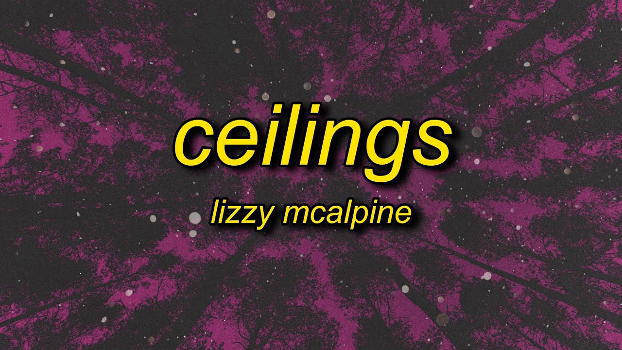 lizzy alpine ceilings