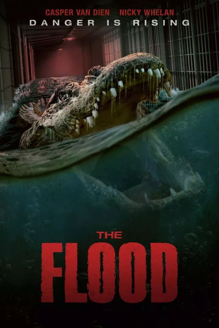 The-Flood