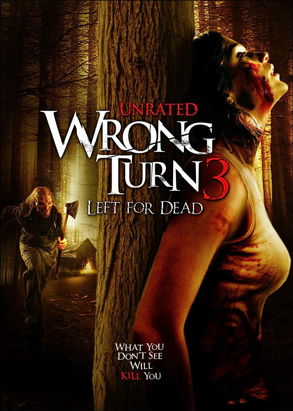 Netnaija - Wrong Turn 3: Left For Dead (2009)